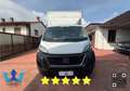 Fiat Ducato BOXATO * FURGONATO * CABINATO * BOX Blanc - thumbnail 2