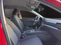 SEAT Leon 1.0 TSI Sportstourer Reference LED+SPURASS. Klima Rot - thumbnail 19