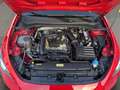SEAT Leon 1.0 TSI Sportstourer Reference LED+SPURASS. Klima Rot - thumbnail 9