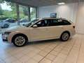 Skoda Octavia Combi 1.5 TSI Selection*ACC*LED*Navi* Weiß - thumbnail 7