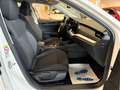 Skoda Octavia Combi 1.5 TSI Selection*ACC*LED*Navi* Weiß - thumbnail 14