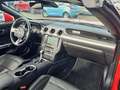 Ford Mustang Convertible 5.0 V8 GT | Dealeronderhouden | B&O Au Rood - thumbnail 12