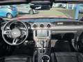 Ford Mustang Convertible 5.0 V8 GT | Dealeronderhouden | B&O Au Rood - thumbnail 15
