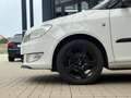 Skoda Roomster 1.4 Active Plus Edition, AHK, Sitzheiz, Klima, NSW Alb - thumbnail 11