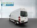 Mercedes-Benz Sprinter 313 CDI L2H2,128.000km,AHK,Regale,MwSt,TÜV,Serv Blanc - thumbnail 8