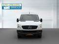 Mercedes-Benz Sprinter 313 CDI L2H2,128.000km,AHK,Regale,MwSt,TÜV,Serv Blanc - thumbnail 11