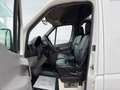 Mercedes-Benz Sprinter 313 CDI L2H2,128.000km,AHK,Regale,MwSt,TÜV,Serv Blanc - thumbnail 12