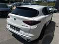 Alfa Romeo Stelvio Super 2,2 ATX RWD Weiß - thumbnail 5