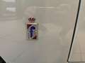 Altro Alfa Romeo Giulietta Spider *1962*CABRIOLET* Grigio - thumbnail 11