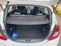 Opel Corsa Corsa 5p 1.2 Edition (elective) Gpl-tech 85cv Bianco - thumbnail 14