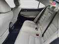 Lexus IS 300 300h Luxe Grau - thumbnail 11