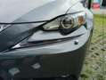 Lexus IS 300 300h Luxe Grau - thumbnail 13