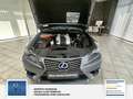 Lexus IS 300 h Scheckheft gepflegt, Tüv Neu Grau - thumbnail 21