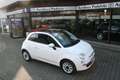 Fiat 500 Cabrio|49 TKm|Klima|Tüv N|S/W Reifen Білий - thumbnail 1