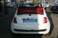 Fiat 500 Cabrio|49 TKm|Klima|Tüv N|S/W Reifen Білий - thumbnail 4