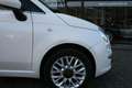 Fiat 500 Cabrio|49 TKm|Klima|Tüv N|S/W Reifen Білий - thumbnail 31