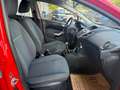 Ford Fiesta Trend 1,25 (inkl 3 Jahre garantie) Rot - thumbnail 19
