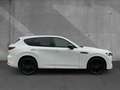 Mazda CX-60 3.3 AT AWD Homura CoSo Matrix BOSE HUD AHK Weiß - thumbnail 4