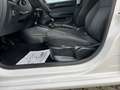 Skoda Fabia Combi Active 1.0 MPI EU6d-T Klima RCD ZV Weiß - thumbnail 13
