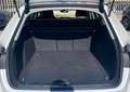 Audi A4 Avant Business 2.0 TDI 136CV s-tronic mhev 30 Bianco - thumbnail 22