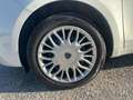 Lancia Ypsilon 1.2 Platinum 69cv Bianco - thumbnail 5