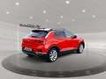 Volkswagen T-Roc 1.5 TSI Sport Matrix AHK Pano RFK SHZ Navi Rot - thumbnail 4