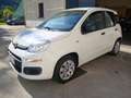 Fiat Panda Panda III 2012 1.2 Easy 69cv E6 Bianco - thumbnail 1