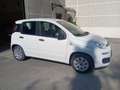 Fiat Panda Panda III 2012 1.2 Easy 69cv E6 Bianco - thumbnail 2