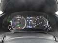Lexus RX 450h / hL Executive Line ACC+LED+Navi+Pano+SD Grau - thumbnail 17