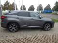 Lexus RX 450h / hL Executive Line ACC+LED+Navi+Pano+SD Grau - thumbnail 7