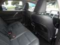 Lexus RX 450h / hL Executive Line ACC+LED+Navi+Pano+SD Grau - thumbnail 12