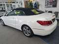 Mercedes-Benz E 200 Cabrio 7G-TR. ILS,Kamera,Navi,Airsarf/cup,PT,Leder Белый - thumbnail 22