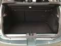 Dacia Sandero III 1.0 TCe 110 EU6e Stepway Extreme (EURO 6e) Grün - thumbnail 13