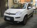 Fiat New Panda 1.3 MJET 95 CV S-S 4X4 Білий - thumbnail 12