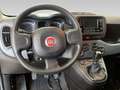 Fiat New Panda 1.0 FireFly Hybrid (Red) - thumbnail 8