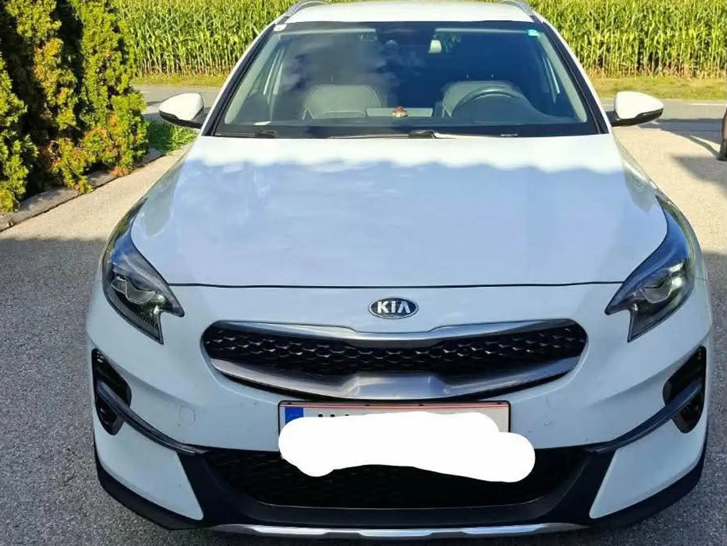 Kia XCeed Xceed 1,6 CRDI SCR Gold Gold Weiß - 1