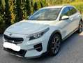 Kia XCeed Xceed 1,6 CRDI SCR Gold Gold Weiß - thumbnail 2
