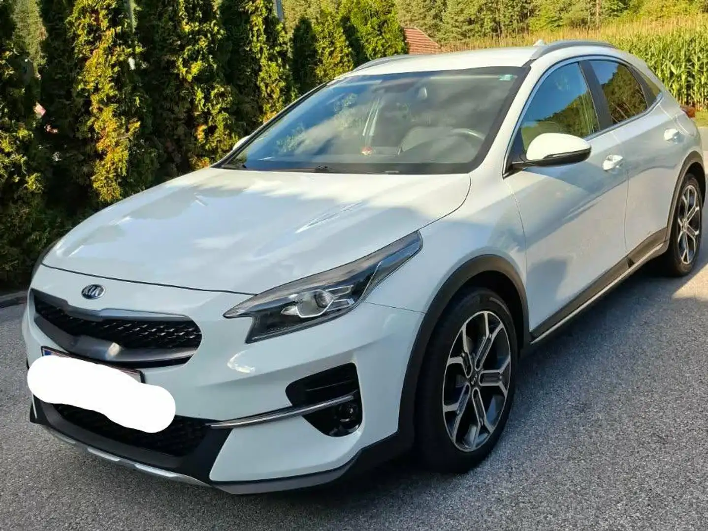 Kia XCeed Xceed 1,6 CRDI SCR Gold Gold Weiß - 2