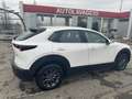 Mazda CX-30 CX-30 2.0 m-hybrid 150 CV  PREZZO REALE Bianco - thumbnail 5