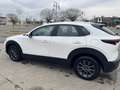 Mazda CX-30 CX-30 2.0 m-hybrid 150 CV  PREZZO REALE Bianco - thumbnail 7