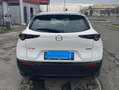 Mazda CX-30 CX-30 2.0 m-hybrid 150 CV  PREZZO REALE Bianco - thumbnail 6