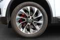 Skoda Kodiaq 2.0 TSI 4x4 DSG Clever Weiß - thumbnail 6