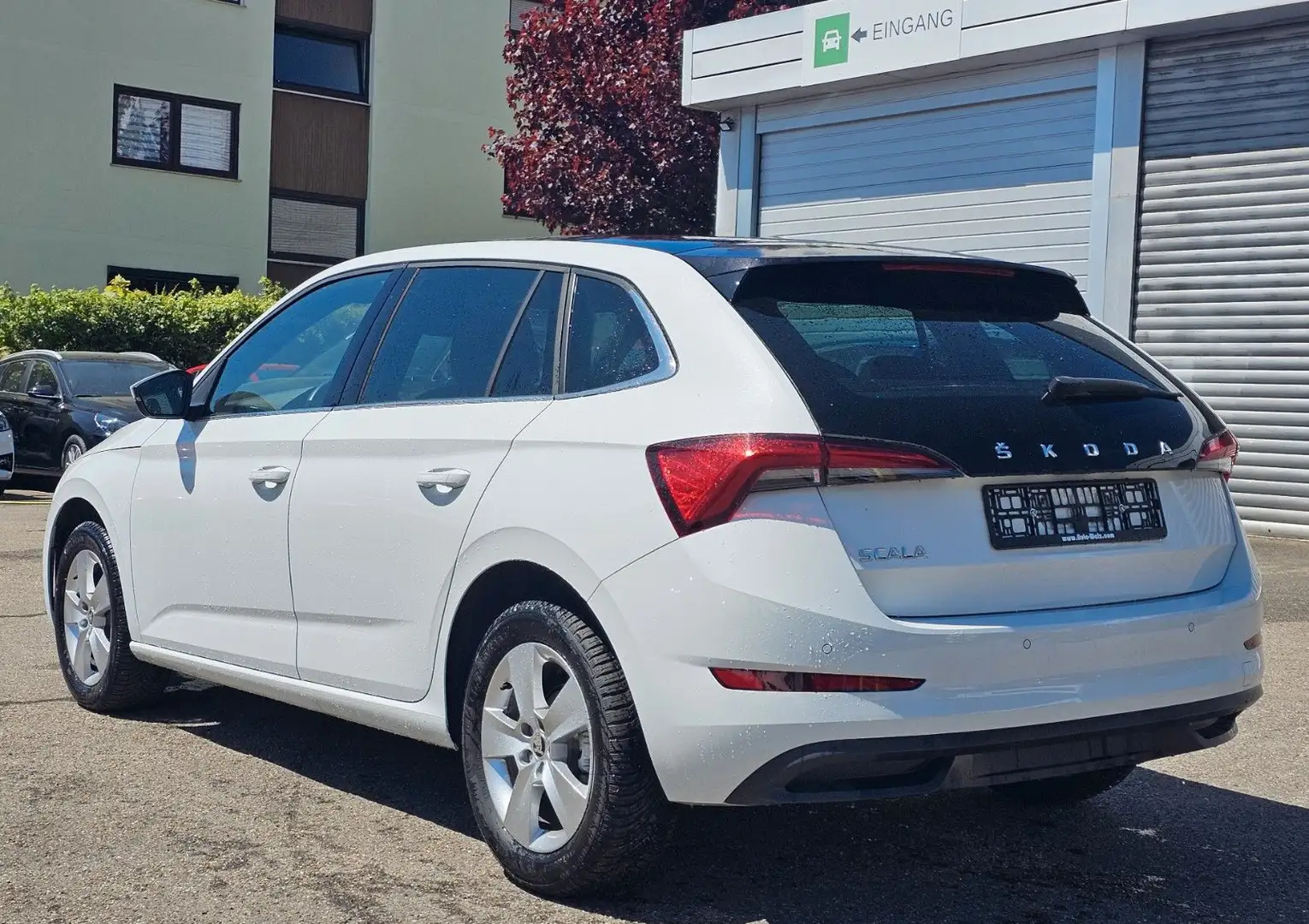 Skoda Scala 1,5 TSI DSG Style Panormadach Weiß - 2