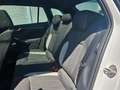 Skoda Scala 1,5 TSI DSG Style Panormadach Weiß - thumbnail 11