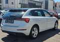 Skoda Scala 1,5 TSI DSG Style Panormadach Weiß - thumbnail 3