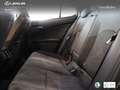 Lexus UX 250h Business City 2WD zelena - thumbnail 16
