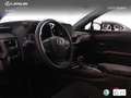 Lexus UX 250h Business City 2WD Zielony - thumbnail 20