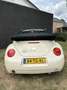 Volkswagen New Beetle 1.6 Highline 102 Pk Airco Stoelverwarming Wit - thumbnail 3