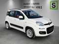 Fiat Panda PANDA Lounge 0,9 TwinAir Weiß - thumbnail 4