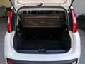 Fiat Panda PANDA Lounge 0,9 TwinAir Automatic Weiß - thumbnail 10